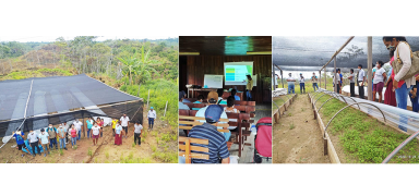 TALLER DE CAPACITACIÓN  DE INSTALACIÓN DE ESPECIES FORESTALES Y AGROFORESTALES